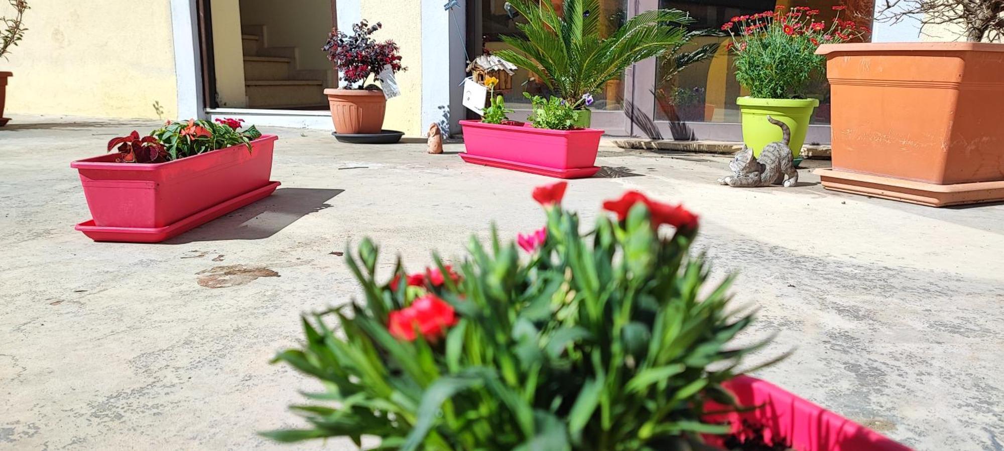 B&B Gioia Catanzaro Luaran gambar
